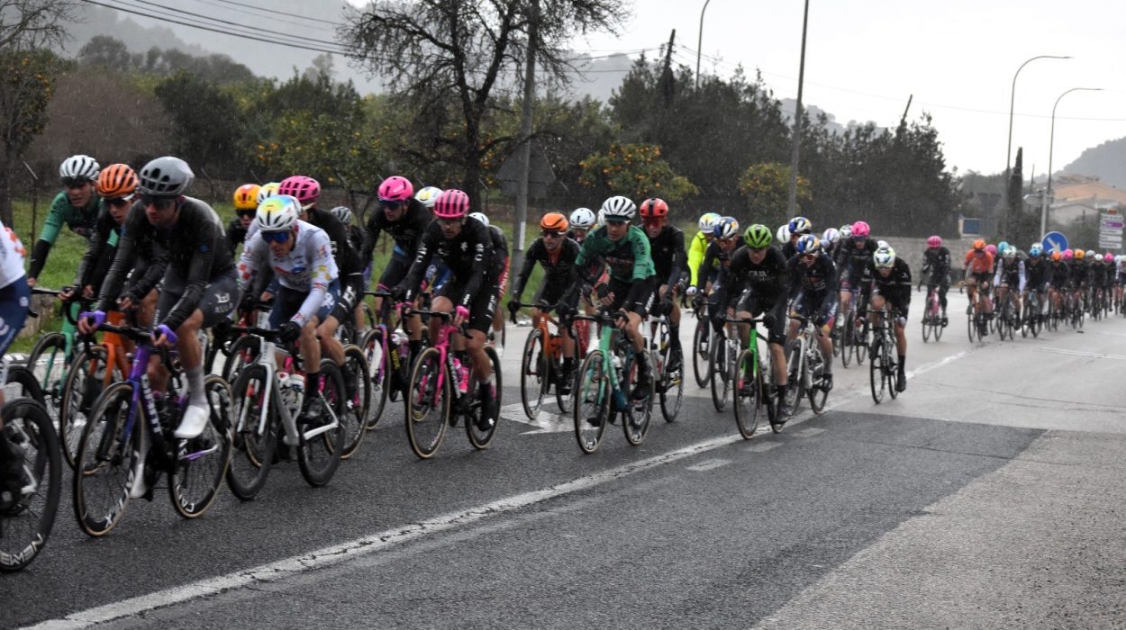 La pluja resta espectadors a la Challenge Professional.