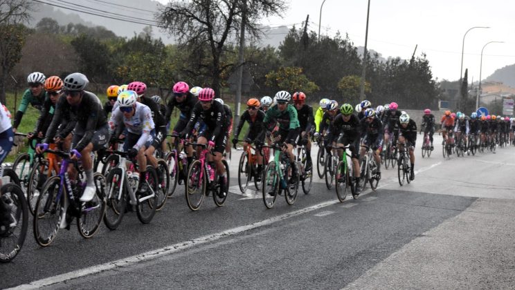 CICLISME: Challenge Ciclista a Mallorca – Publicat a «SA VEU», 30-01-2026.